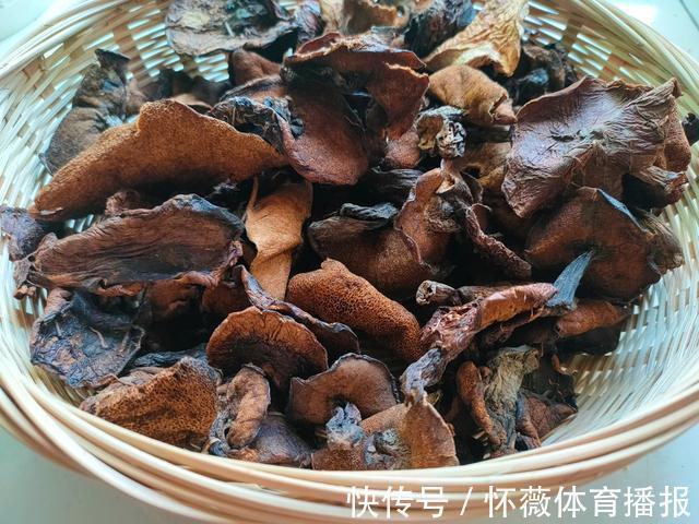 松蛾|纯野生松蛾子,泰山松林的馈赠,与鸡肉一锅炖,香到流口水