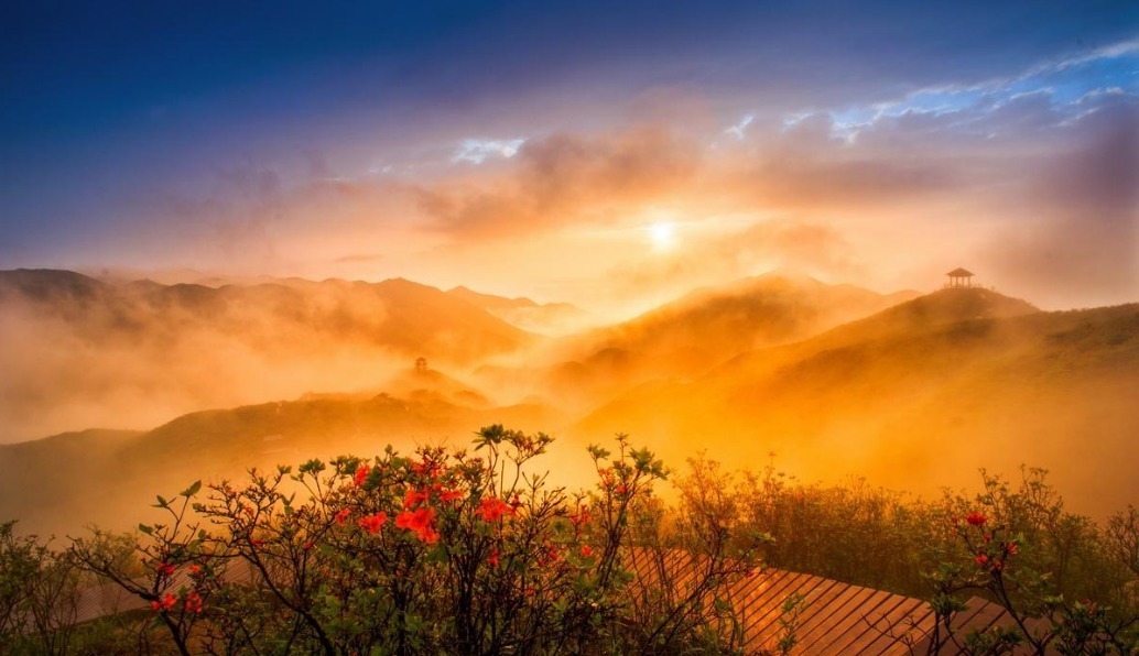  诗词|【诗词鉴赏】古诗词里听秋声，声声入耳，句句在心！