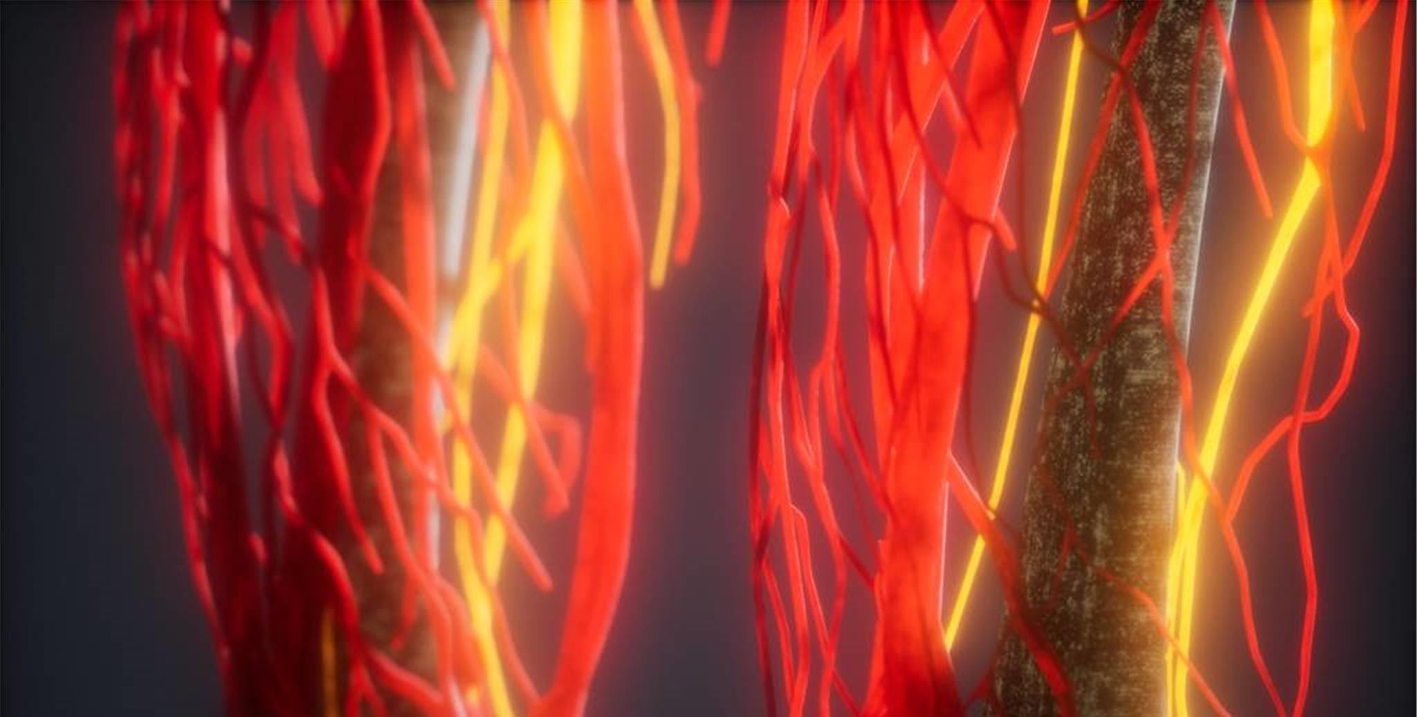 血管“清道夫”找到了,并非木耳,每天敞开喝,血栓“不敢放肆”