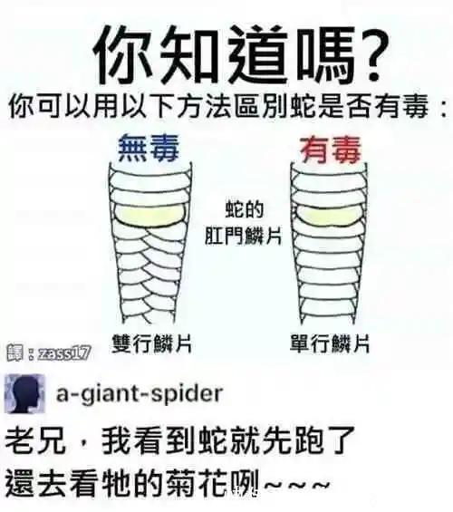 |【被窝段子20210910】好听的话别当真,难听的话别较真,认真你就输了