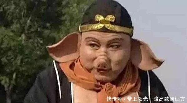 猪八戒|心宽体壮:猪八戒真快活