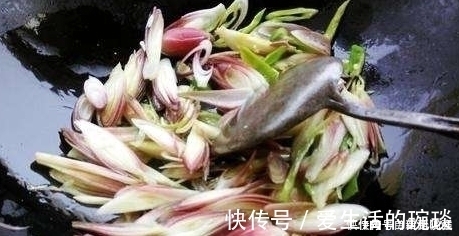 洋荷|南方1种野菜,叶子似生姜,我国很少人吃,出口日本被称亚洲人参