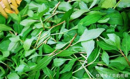 中年人可以吃三種食物,排毒養顏、延緩衰老,好處多多