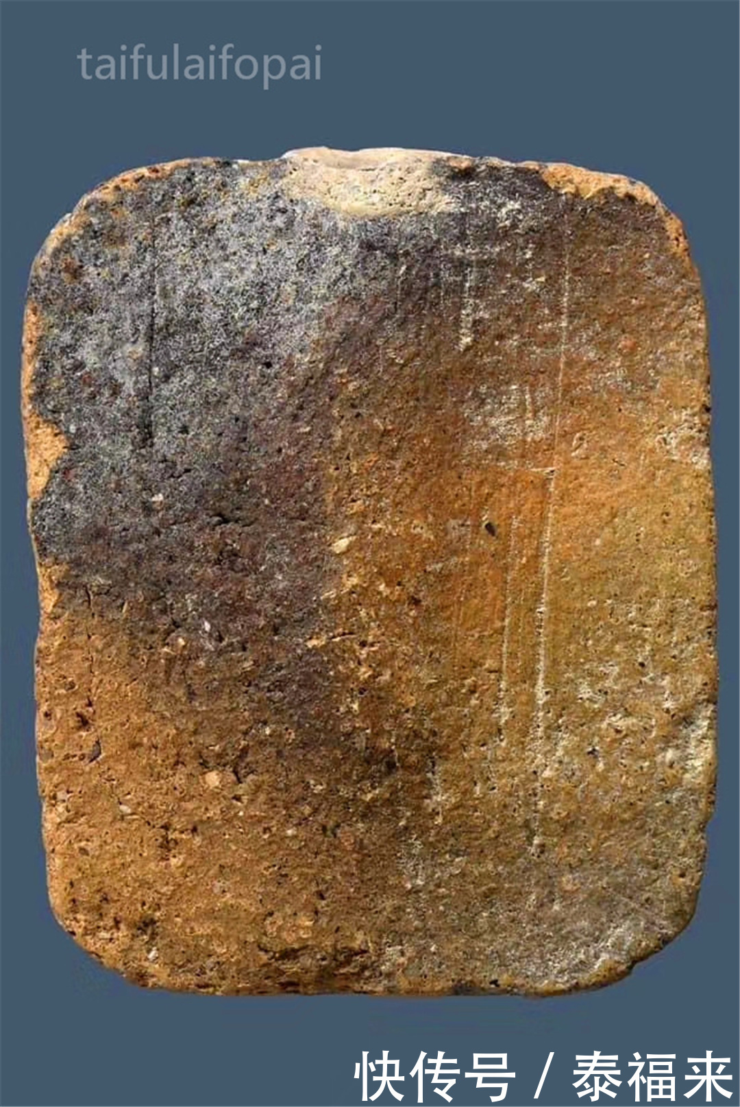 『佛牌知识科普』“无声的老虎”龙婆鲁士灵丹WatThaSung神兽崇迪