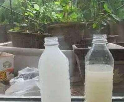 淘米水|淘米水养花,别缺了它,不然,养啥花死啥花