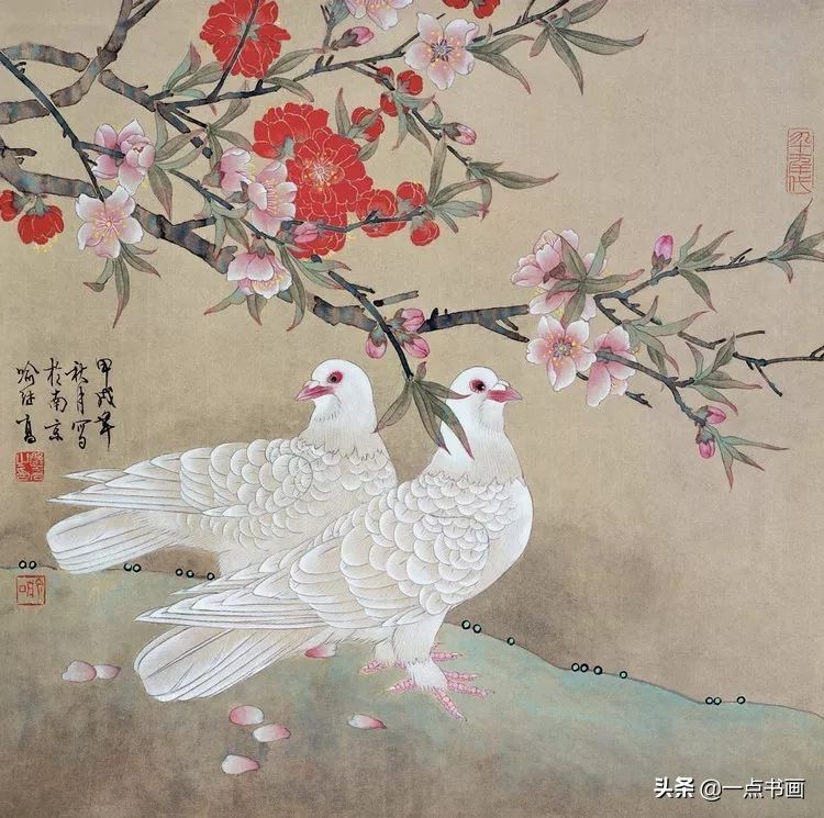 鸽子&喻继高笔下的鸽子，静雅秀丽