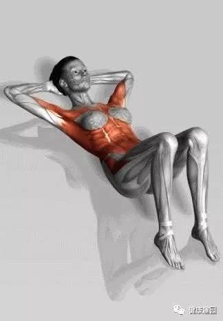 肱三头肌|肌肉群锻炼动作示意图，想练什么对号入座！