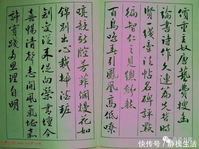 行书|青少年行书《廖蕴玉著并书论书七绝句一百首》