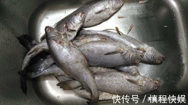 敏子|这肉六元一斤做一锅，我家一周吃两次，孩子常吃头脑聪明考第一