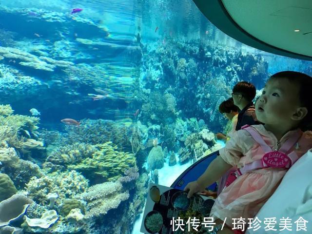 小男孩|白鲸张开“血盆大口”吓哭孩子,专业抢镜20年,一看就不正经