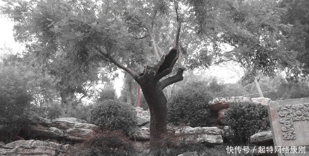 下属|本有机会重整大明,延续明王朝统治,下属们的空谈,让他错失机会