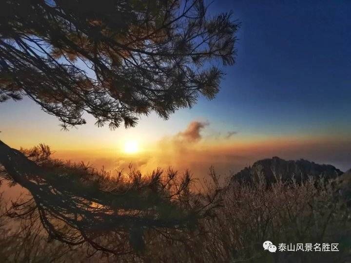 登泰山之巅，观云雾升腾铺陈成海，看云层姿态万千仿若画卷