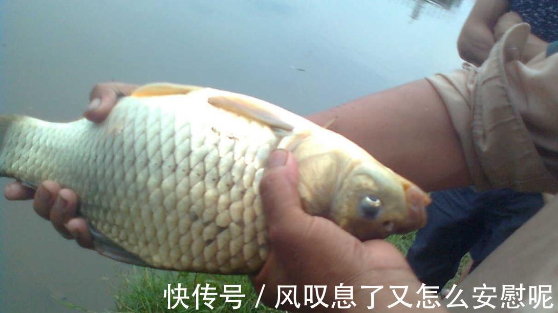 为啥河里全是鱼,就是不上钩可能子线长度有错,照此数据调整吧