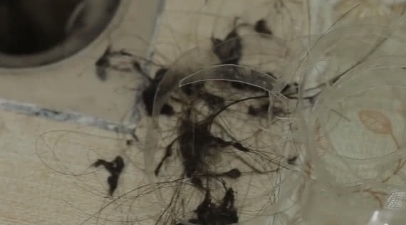 下水道容易被头发堵塞,教您成本花不了1毛钱,头发杂物都带走