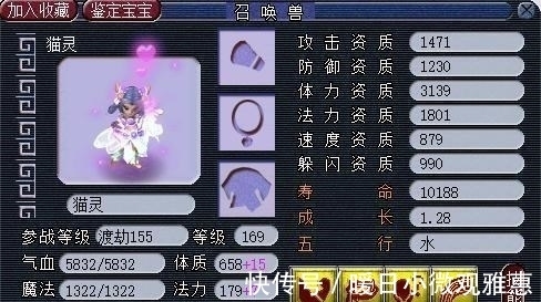 兽态|梦幻西游：攻资1600，成长近1.3，强力攻法双修猫灵，任务小能手