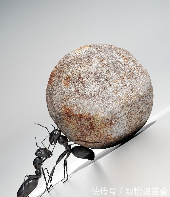 低热量|高血脂是吃出来的坚持“两低一高”饮食,2个月轻松吃掉高血脂