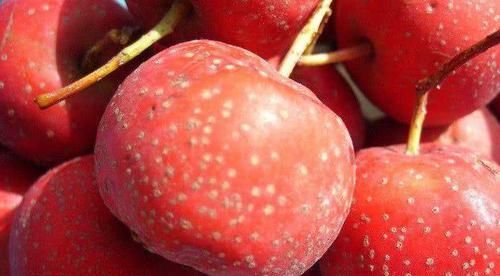 血脂高低决定寿命长短，常吃这几种天然食物，血脂平稳更长寿