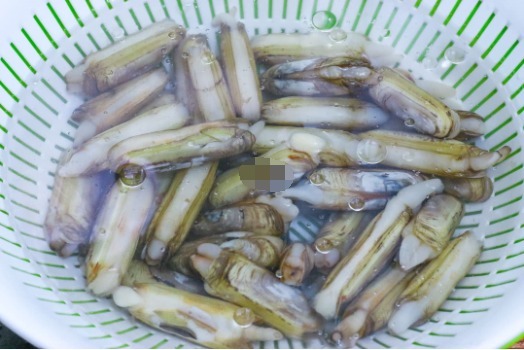  这种海鲜20块钱一斤，肉多味鲜，人人都适合！