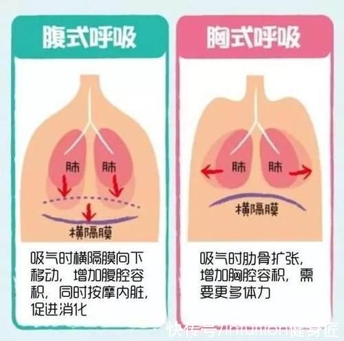 核心|训练先从基础开始!练习腹式呼吸，有助于核心肌群力量提升