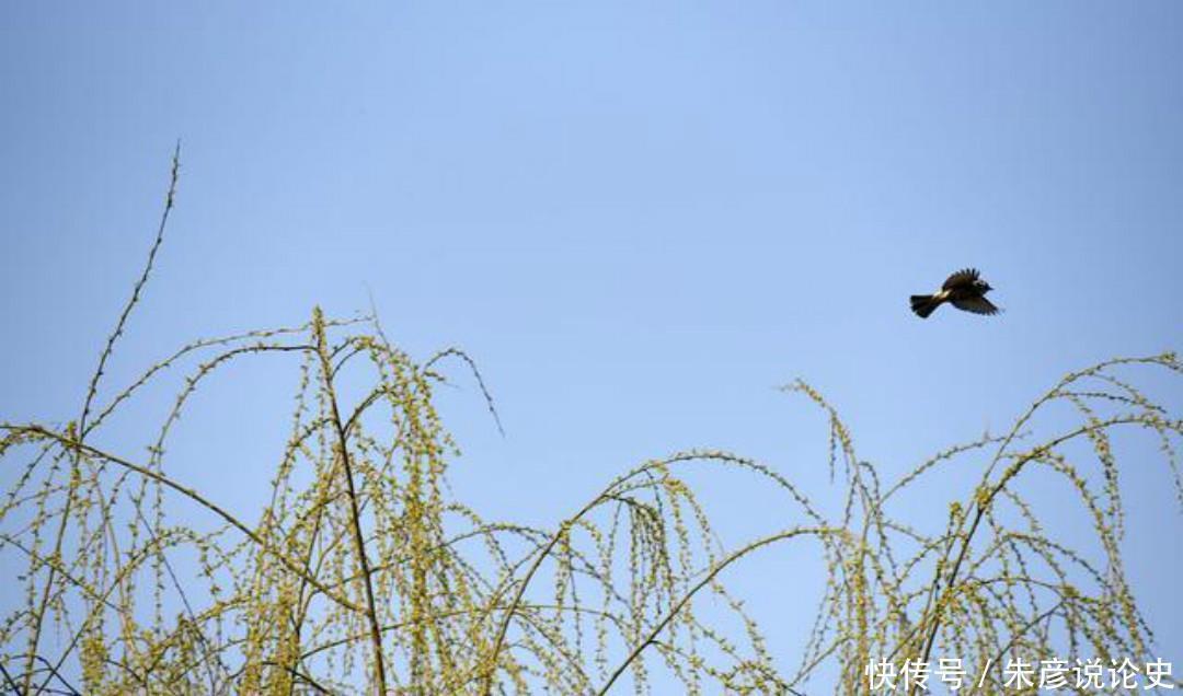 故乡|孤独的诗人写下一首思乡之作，无一字不伤感，无一字不忧愁