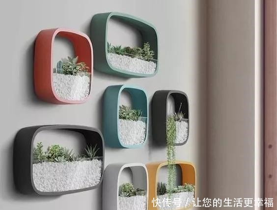 这些旧物都可以挂墙上养花,比挂画还好看呢,5种变废为宝创意!