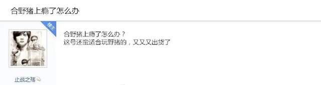 手游|梦幻西游手游：大佬把个性宠玩出了花！你见过如此极品的野猪吗？