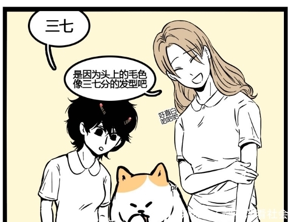 搞笑|搞笑漫画：撸猫的最高境界就是让所有猫都讨厌自己？