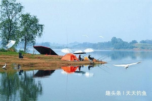 野钓|自然水域野钓大鱼，用了这些招数，效果出奇的好，大鱼连竿上