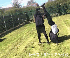 |搞笑GIF趣图:劈叉我见多了,但是这样的真没见过