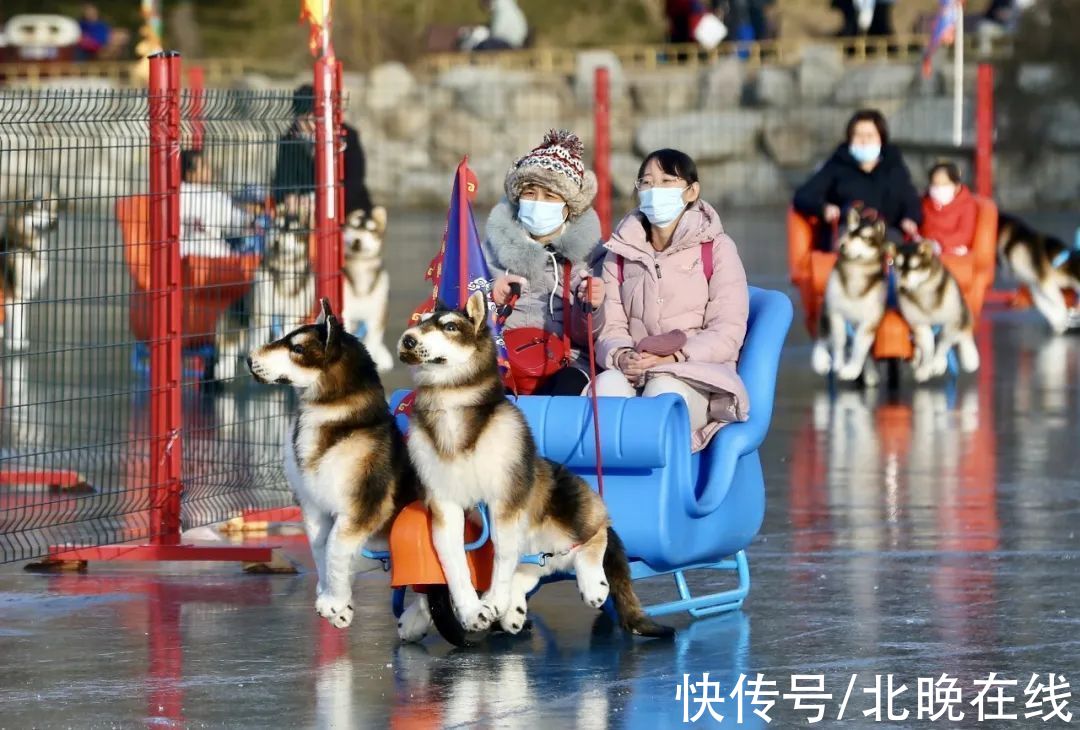 天然冰场|北京天然冰场大多将于2月5日左右关闭，喜欢滑冰的朋友抓紧