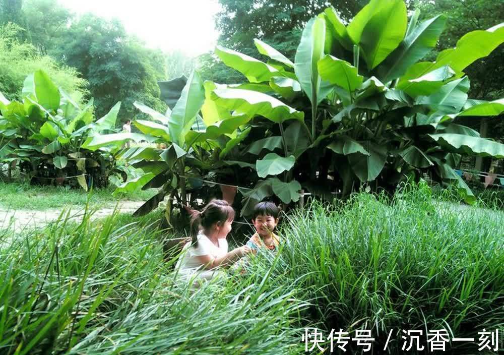 蜂刺|江西出生4天婴儿被蜱虫咬伤,夏季驱虫“三及时”,不让娃白遭罪