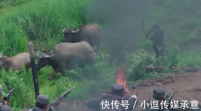 撒子呦|“抗日神剧”真会玩,战场上抓猪赶牛,一招“火牛阵”团灭敌人