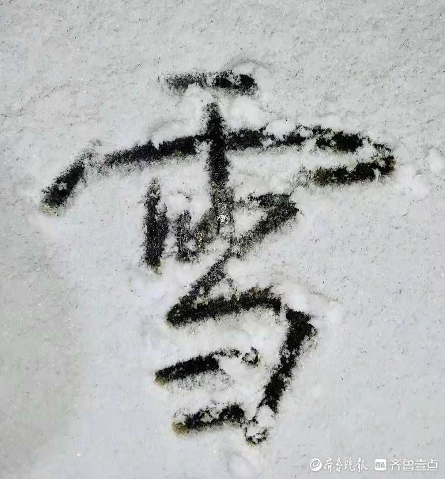 情报站|漫步东昌湖风景区，赏别样风雪美景