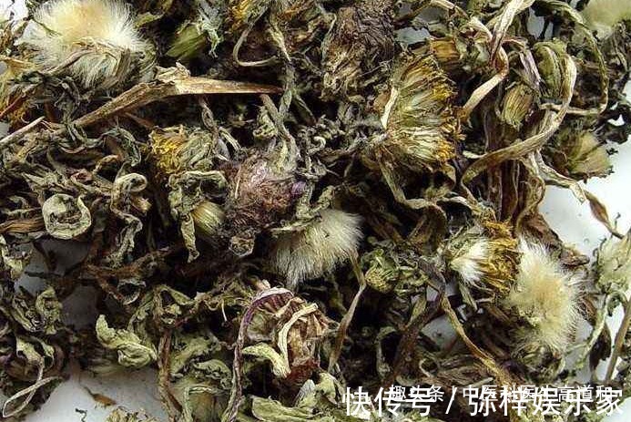 蒲公英|中醫蒲公英配它“天生一對”，堅持7天腎變強，肝干凈口臭沒！