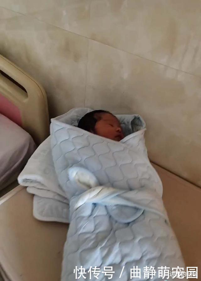 出院|宝妈生完娃出院,宝宝却被落在了医院里,护士:来医院干啥了?