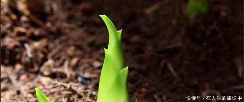 幽默|欧阳修的一首千古名作,看似幽默实则悲凉,尾句最让人浮想联篇