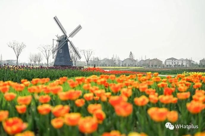 叮咚！您的阳光余额已充值，今日到账！