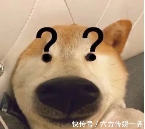 吸睛度|“ 大肠发圈 ”烂大街了!初秋竟然流行土味配饰?