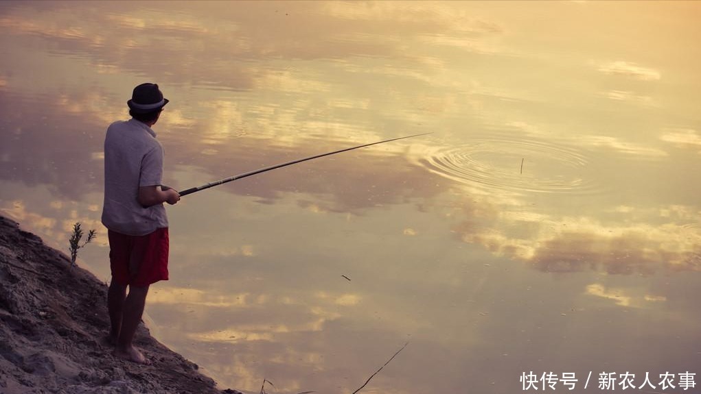 溺亡|被“水怪”拉下河？四川南部钓友钓鱼时意外滑落溺亡，年仅27岁
