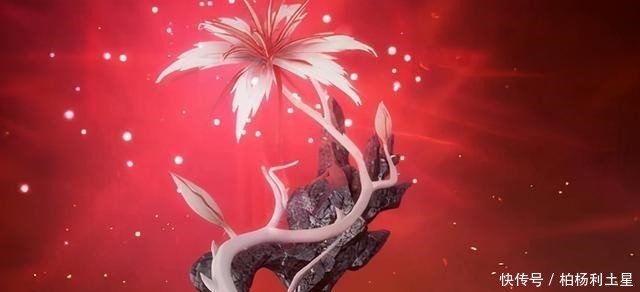 斗罗大陆都有哪些仙品药草竟全归唐三所有比比东要看哭了！