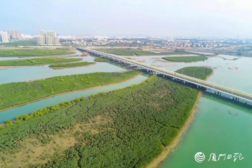 这场|“彩虹跑道”完工！海边美景赏心悦目，本周日这场赛事在此开跑……