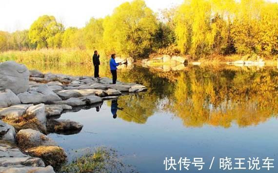 冬季钓鲫鱼你真的行吗?迟来的技巧,上来的都是大板鲫!