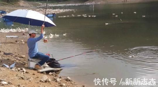 误差|夏季大鱼难给口,错了因为调钓的灵钝,在一开始就有了误差