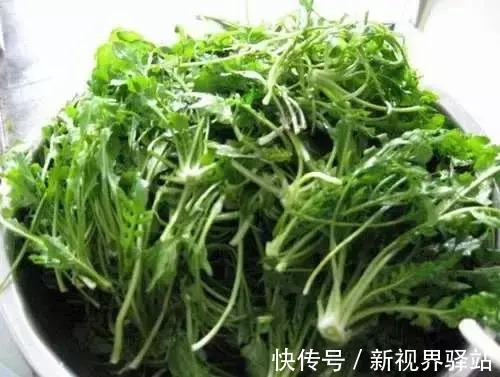 三高|均衡饮食,“降三高”食物清单请查收!