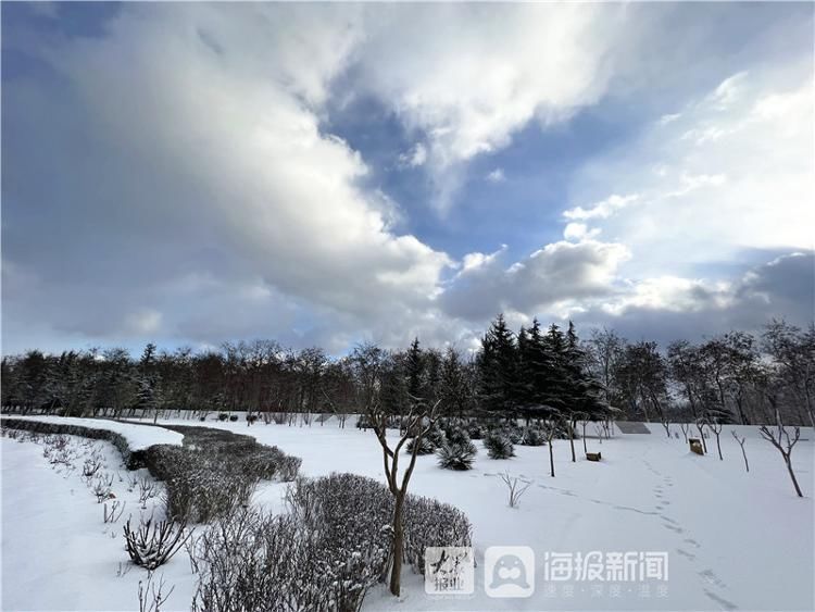 烟台市牟平区沁水河公园雪景美如画|图集| 牟平区