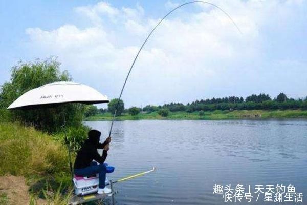 钓友|钓不到大鱼,未必是鱼少,可能方法不对试试这几招,一钓一个准