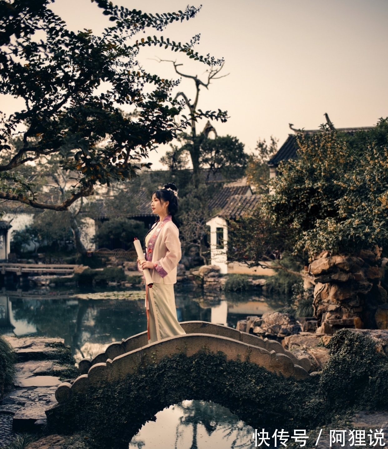 肺茶&诗·十五首丨贪杯常寄归乡客,谁解霜丛一地黄?