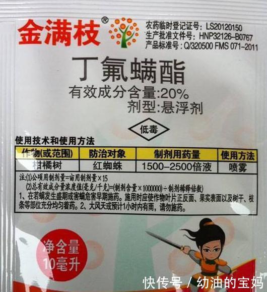 养月季，该死的红蜘蛛又来了，消灭方法全在这里