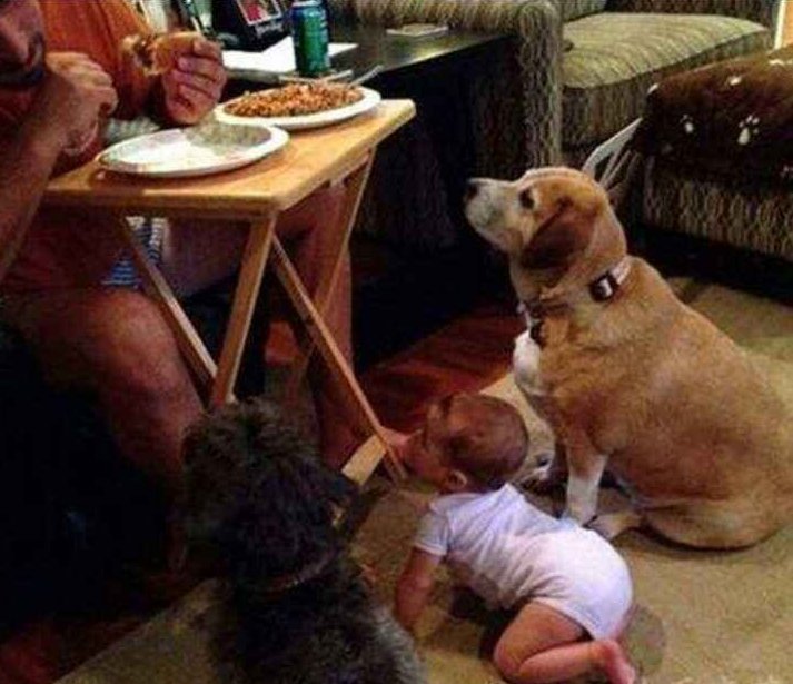 排山倒海|父爱如“排山倒海”男人带大的孩子，生命力都很强