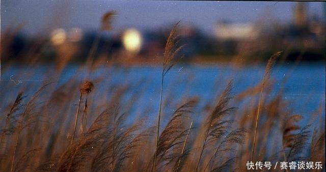 至今|朱雀桥,从刘禹锡的诗《乌衣巷》中走来,至今“残基犹说晋咸康”